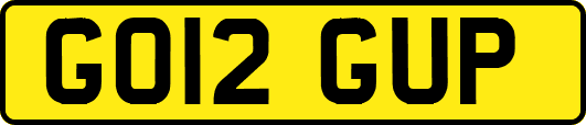 GO12GUP