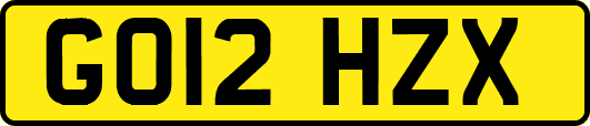 GO12HZX