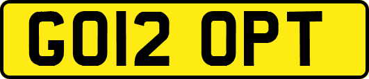 GO12OPT
