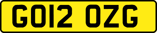 GO12OZG