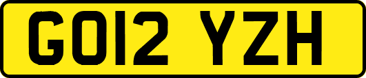 GO12YZH
