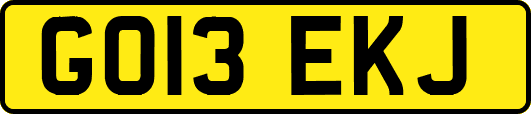 GO13EKJ