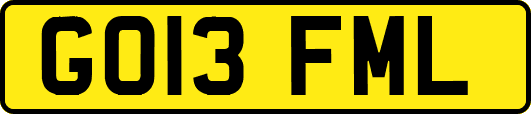 GO13FML