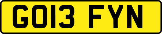 GO13FYN