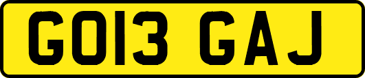 GO13GAJ