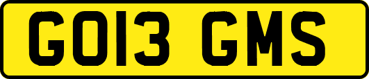 GO13GMS