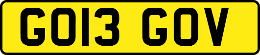 GO13GOV