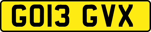 GO13GVX
