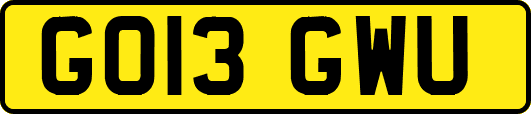 GO13GWU
