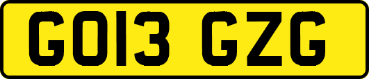 GO13GZG
