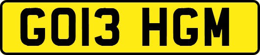 GO13HGM