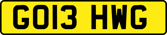 GO13HWG