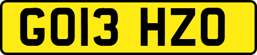 GO13HZO