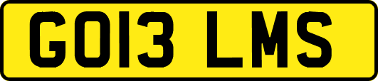 GO13LMS