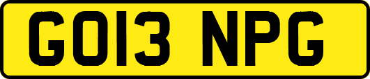 GO13NPG