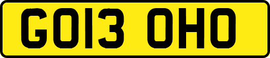 GO13OHO