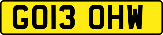 GO13OHW