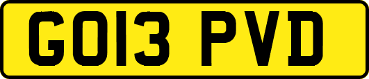 GO13PVD