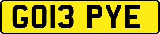 GO13PYE