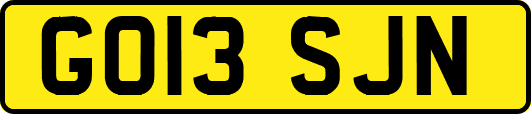 GO13SJN