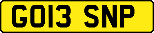 GO13SNP