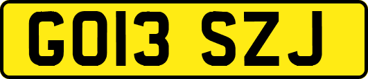 GO13SZJ