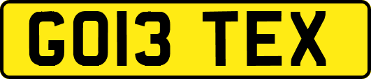 GO13TEX