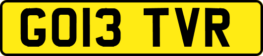 GO13TVR