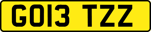 GO13TZZ