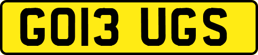 GO13UGS