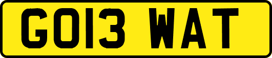 GO13WAT