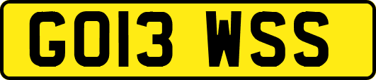 GO13WSS