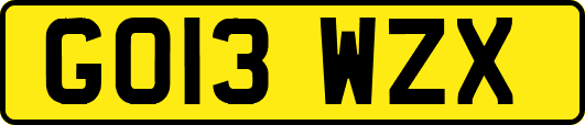 GO13WZX