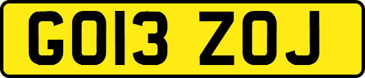 GO13ZOJ