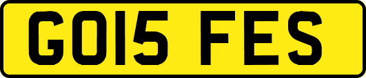 GO15FES