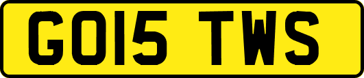 GO15TWS