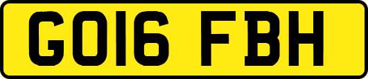 GO16FBH