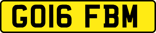 GO16FBM