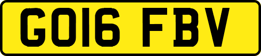 GO16FBV