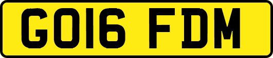 GO16FDM