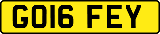 GO16FEY