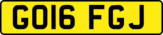 GO16FGJ