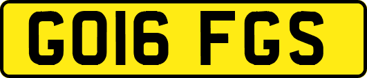GO16FGS