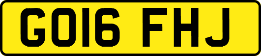 GO16FHJ