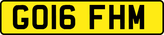 GO16FHM