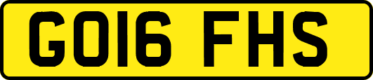 GO16FHS