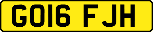 GO16FJH