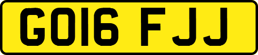 GO16FJJ