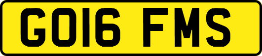 GO16FMS