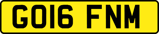 GO16FNM